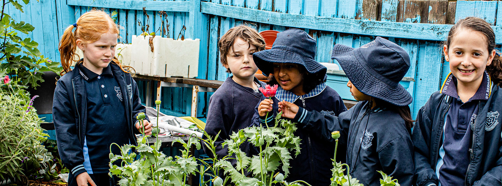 How to enrol at St Bernadette's Primary School Castle Hill